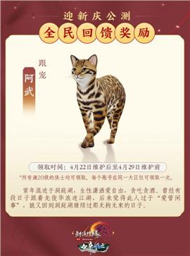 天龙八部私服探测项链